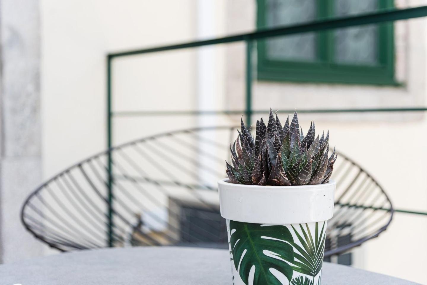 Guestready - Jardim Das Oliveiras Guesthouse Porto Exteriér fotografie