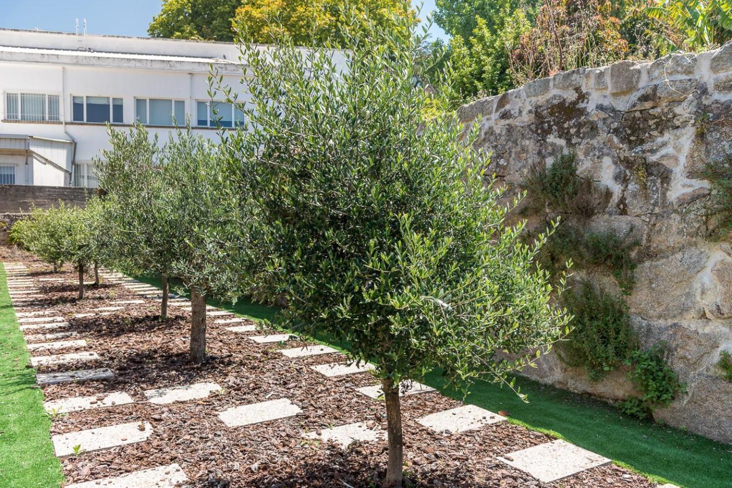 Guestready - Jardim Das Oliveiras Guesthouse - 2 Porto Exteriér fotografie